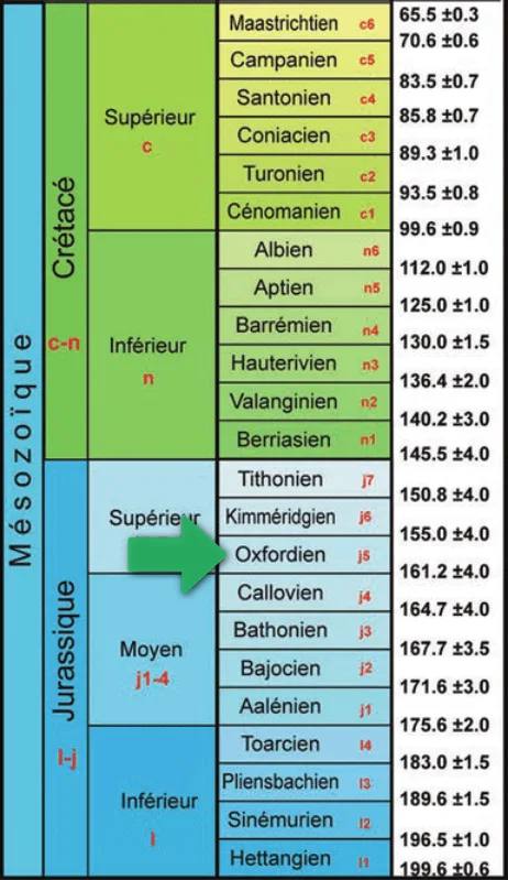 Coupe géologique - Jurassique supérieur Oxfordien